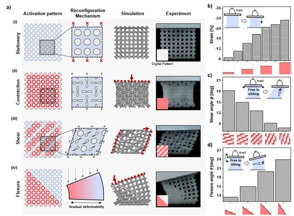 메타 물질의 모양 변화 모드 프로그래밍. (a) 메타 구조의 응력에 따라 고정, 수축, 전단, 굽힘 등의 모양 변화 모드를 디지털 패턴 코딩을 통하여 설정할 수 있다. (b) 추가적인 디지털 패턴 코딩을 통하여 수축률, 전단률, 굽힘률 등을 설정할 수 있다.