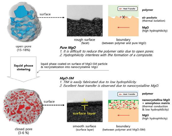 간단한 액상 소결을 통해 표면에 얇은 나노결정질 복합층을 가지는 개발된 MgO(MgO-SM)