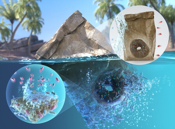  Green Chemistry 저널 최신호 백 커버(back cover). 해양 생분해성, 생체 적합성, 고차단성, 고강도를 갖는 붕산 가교 폴리비닐알코올 코팅지