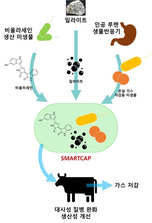 온실가스 저감을 위해 개발될 스마트캡슐 개념도