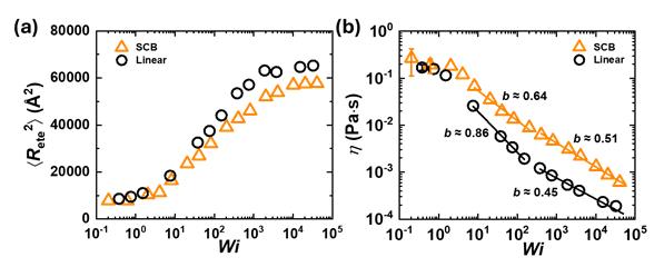 전단 흐름에 따른 얽힌 선형 고분자와 얽힌 짧은 가지가 달린 고분자의 변화. (a) 전단 흐름에 따른 고분자들의 구조적 특성 변화 (b) 전단 흐름에 따른 고분자들의 유변학적 특성 변화