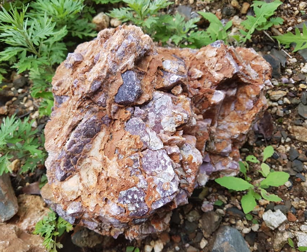 울진 함리튬 페그마타이트