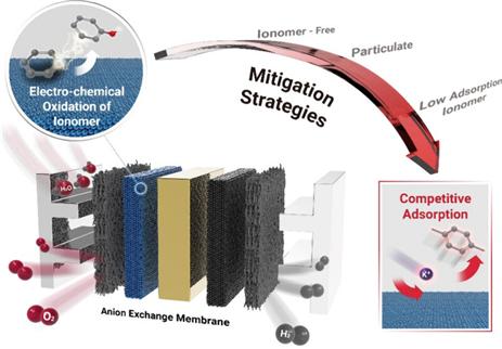 이오노머 전기화학적 산화 방지 전체 전략 모식도