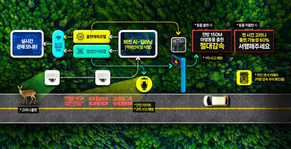 동물 찻길 사고 예방 및 모니터링 시스템 구성도