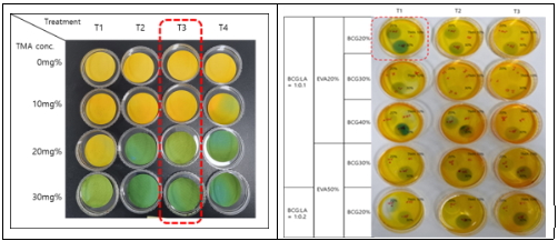초기 부패 정도를 확인하는 VBN 20mg% 검출용 필름 제조 조건 선발