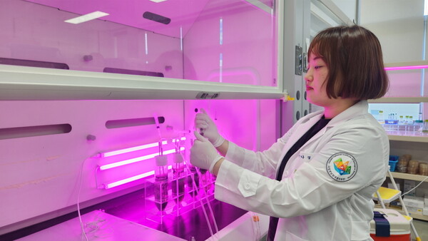 국립호남권생물자원관 연구원이 노스톡 속 HNIBRCY4의 광생물반응기 배양 및 샘플링을 하고 있다.