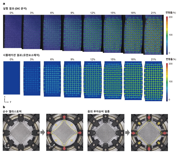 음의 푸아송 비 필름의 변형 모습. a) 세로 방향으로 늘릴 때의 모습과 유한요소 시뮬레이션 결과. b) 2축 신장 이미지. 순수 엘라스토머 소재는 신장이 없는 방향으로 수축이 일어나는 데에 반해 본 연구에서 개발한 음의 푸아송비 필름은 원래의 형태를 유지하면서 전 방향으로 동시에 팽창한다.