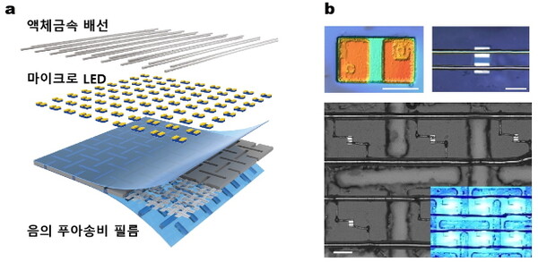 이미지의 왜곡이 없는 스트레처블 디스플레이의 구조 개념도와 소자 현미경 이미지