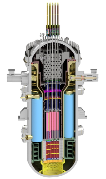 SMART100 원자로 형상