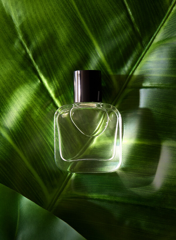 LG화학의 기능성 화장품 신원료