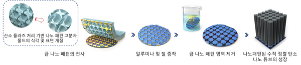 나노패턴된 탄소나노튜브 제작을 위한 공정적 전략