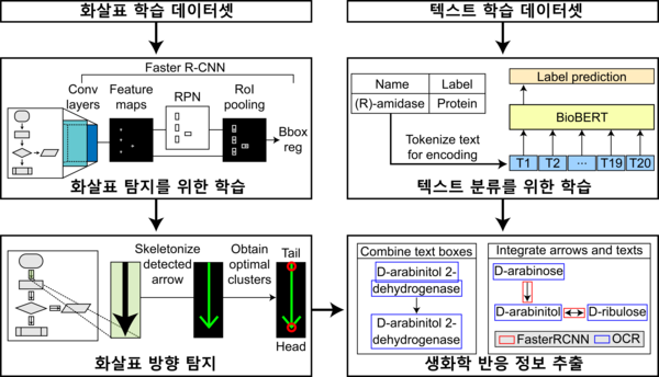 바이오 경로 이미지에서 생화학 반응 정보를 자동으로 추출하는 EBPI의 모식도