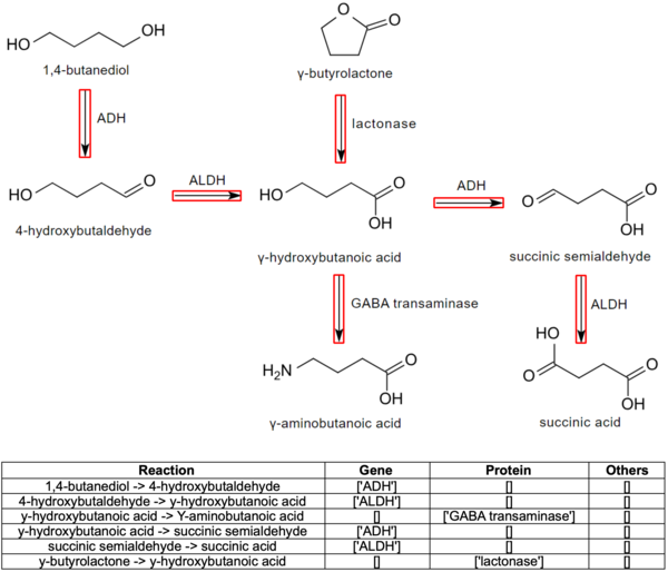 감마 하이드록시뷰티르산 대사경로 이미지에 EBPI를 적용하여, 해당 생화학 반응 정보를 추출한 예시