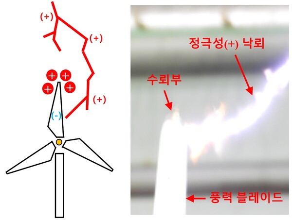 공기 중에 분포하는 양전하가 기존 수뢰부 근처에 모여 있어서, 같은 극성인 정극성 낙뢰가 양전하를 피해 상대적으로 부극성을 띄는 풍력 블레이드 옆 부분에 내리친다.