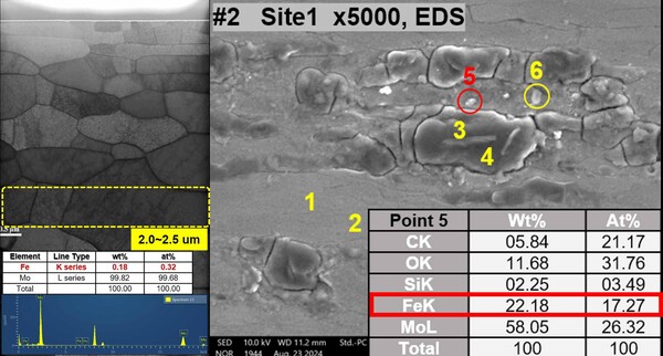 투과전자현미경을 이용해 시편에 조사된 철 이온의 투과 깊이, 농도 등을 측정하여 철 이온 에너지, 입자선속, 조사손상량 등에 대해 검증했다.