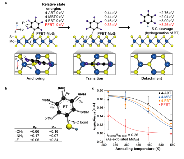 치환기 종류에 따른 벤젠티올 흡탈착 메커니즘 분석