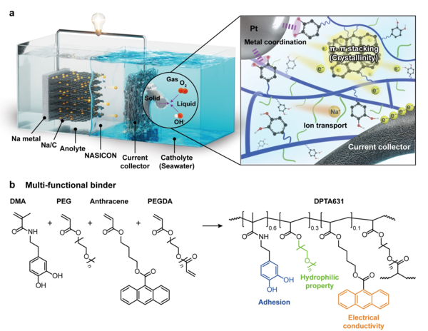 해수전지용 고분자 바인더 제작의 개요. 해수전지 및 개발된 바인더 적용 모식도(a)와 고분자 바인더의 분자 구조식(b)