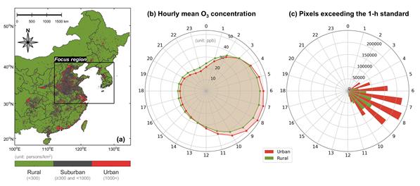 도심과 농촌 지역의 시간대별 오존 농도 및 기준 초과 분포 비교