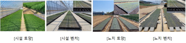 4가지 재배 유형