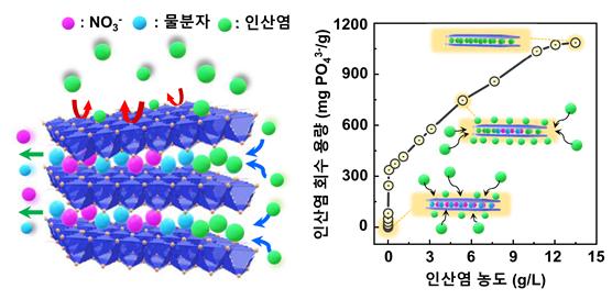 성게 모양 나노 입자의 인산염 회수 원리