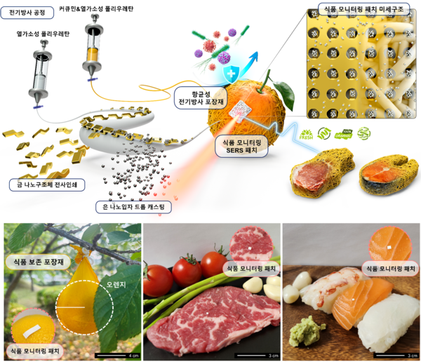 나노구조 SERS 센서가 통합된 식품 모니터링 및 보존을 위한 신축성 항균 포장재 공정 모식도 및 적용 예시