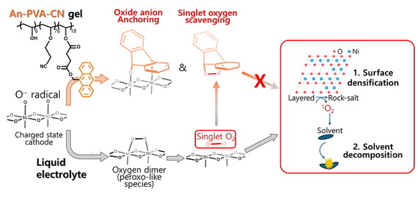 안트라센 기반 젤 전해질의 작용 원리